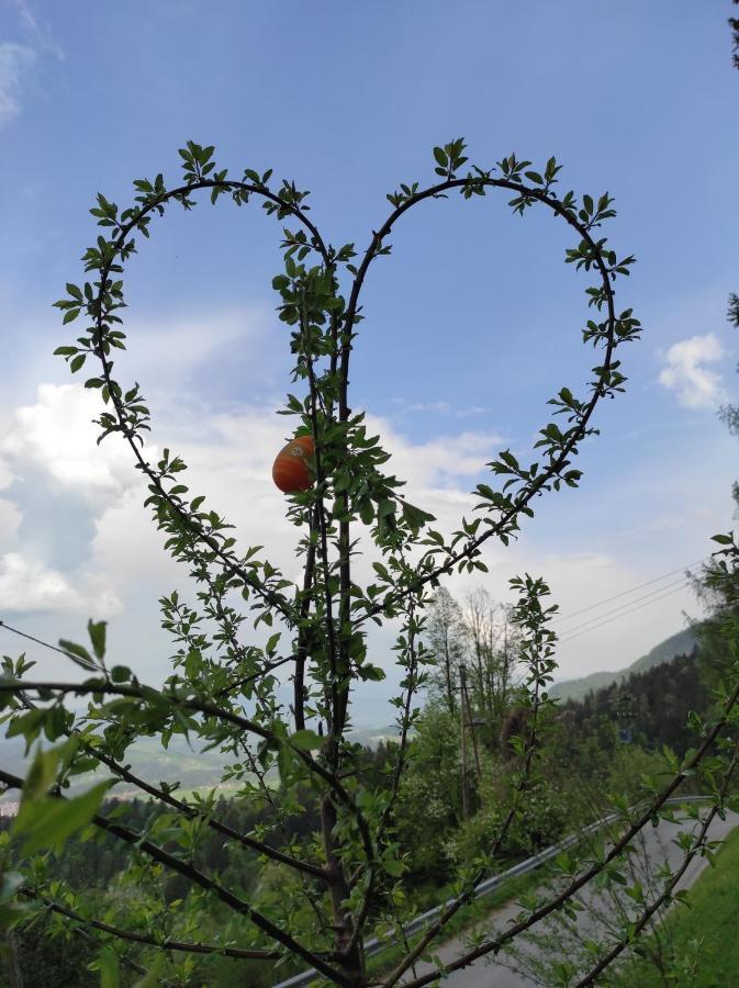 Smucarska Koca Bed and Breakfast Kotlje Exterior foto